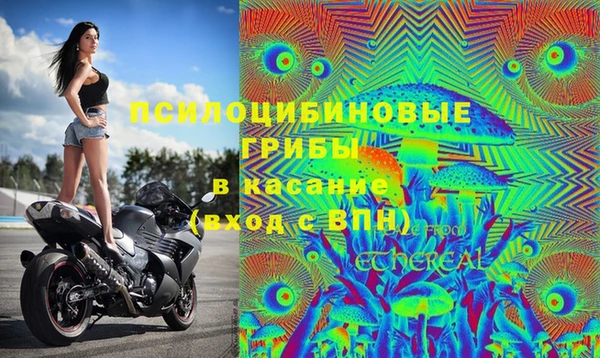 герыч Белокуриха