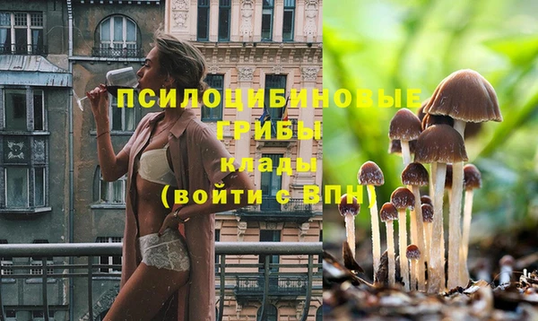 спайс Белоозёрский