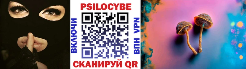 наркошоп  Выкса  Галлюциногенные грибы Psilocybe 